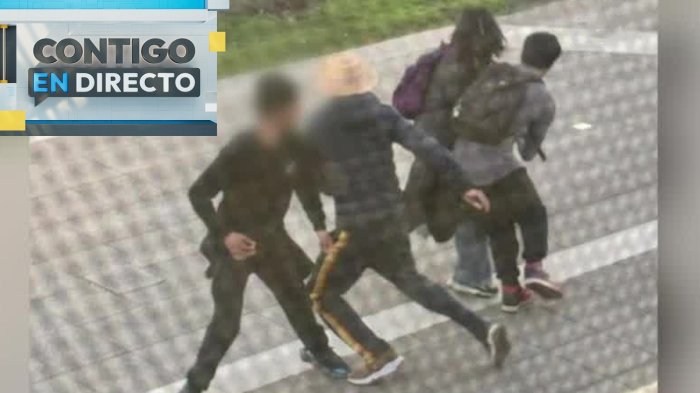 Cinco integrantes de “La jauría de Viña del Mar” quedaron en libertad: Tienen entre 14 y 17 años