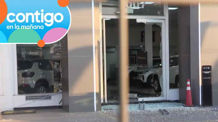 Millonario robo: Desconocidos sustrajeron al menos 10 vehículos desde una automotora