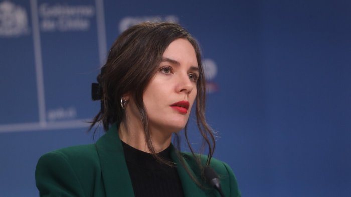 Ministra Vallejo califica como “de máxima gravedad” caso de profesor rociado con bencina en INBA