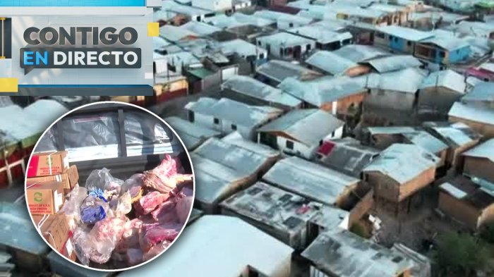 Productos descompuestos: Encuentran carnicería y minimarket clandestino en toma Nuevo Amanecer