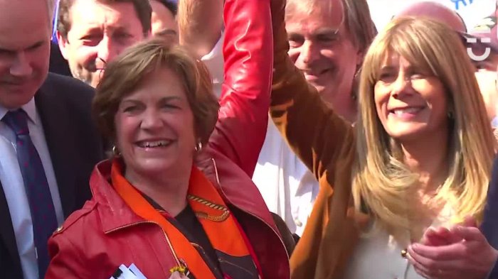 Tras pacto con Demócratas: Evelyn Matthei inscribió su candidatura presidencial en el Servel