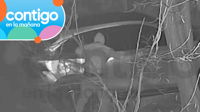 EXCLUSIVO | Revelan supuesta foto previa al crimen de dueño de casa en Curacaví: Fue atropellado con su auto