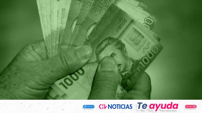 Todos los bonos que se pagan en agosto: Revisa con tu RUT si recibes alguno