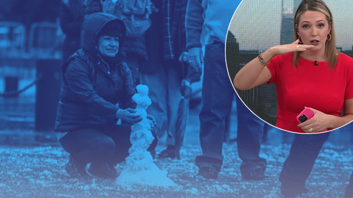 No pasa hace 8 años: Anticipan caída de nieve y aguanieve en Santiago