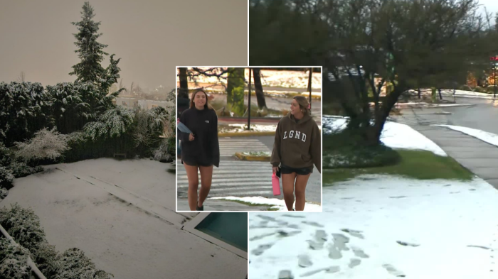 VIDEO | Así despertó parte de la región Metropolitana tras una noche de nevazón