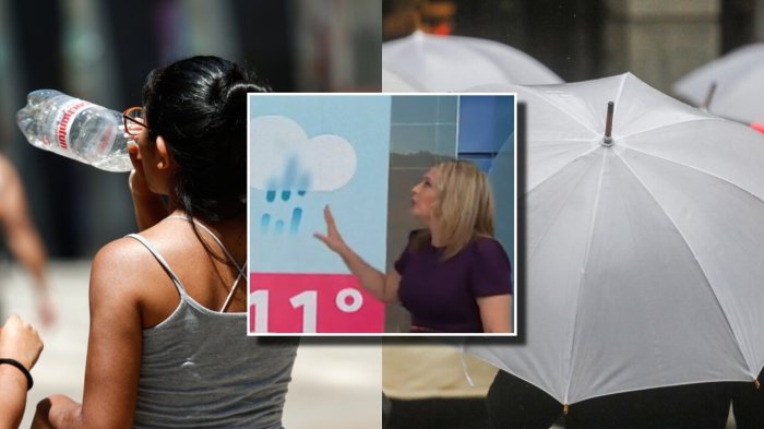 De calor veraniego a frío invernal en tres días: Revisa el tiempo para la semana junto a Allison Göhler