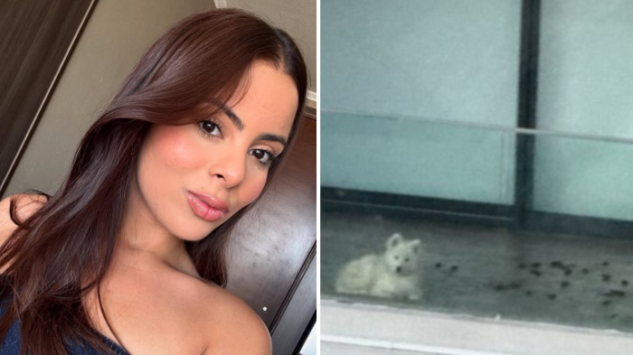 “Estaba enfermo…”: Influencer venezolana acusada de maltrato a su mascota rompió el silencio