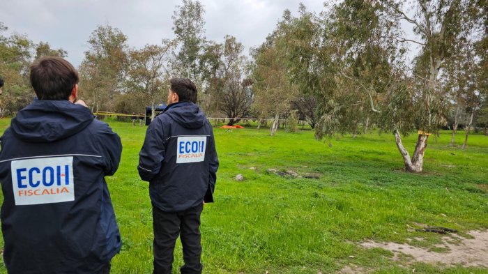 Encuentran dos cuerpos en Lampa: Uno con impactos de bala y otro maniatado