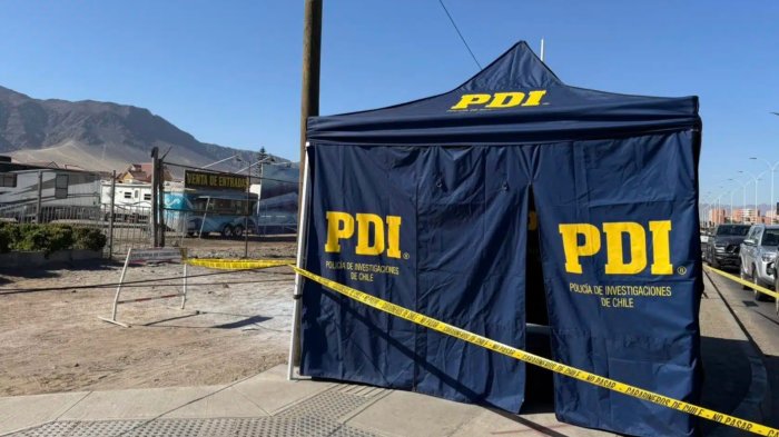 Tragedia en Antofagasta: Mujer y su mascota mueren electrocutadas por cable en la vía pública