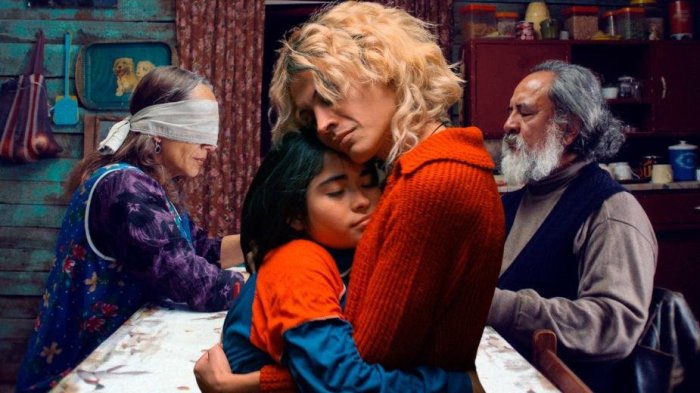 ¿De qué trata La Misteriosa Mirada del Flamenco? La película chilena que busca llegar a los Oscar 2026