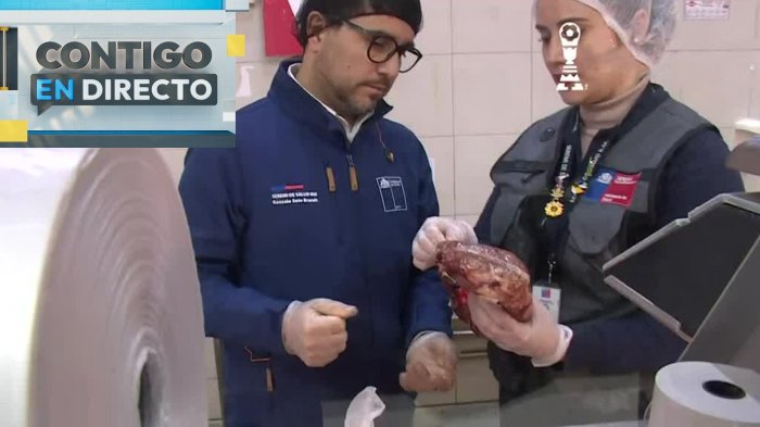Fiscalización previa al 18: Seremi de Salud sanciona carnicerías con problemas de rotulado