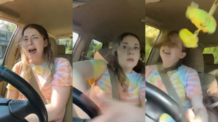 Joven cantaba al volante, perdió el control del auto y volcó: Todo quedó grabado y es viral