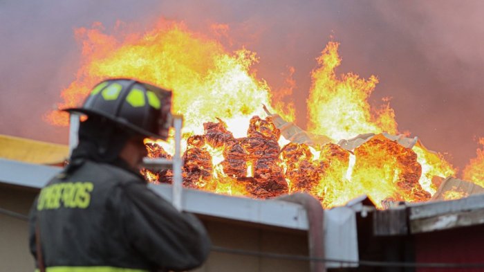 “Si te veo con otro…”: Detuvieron a hombre por amenazas a expareja e incendio que mató a sus dos mascotas