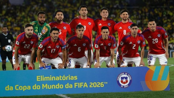 Los apuntados por los hinchas luego de la derrota de Chile frente a Brasil: “Impresentable”