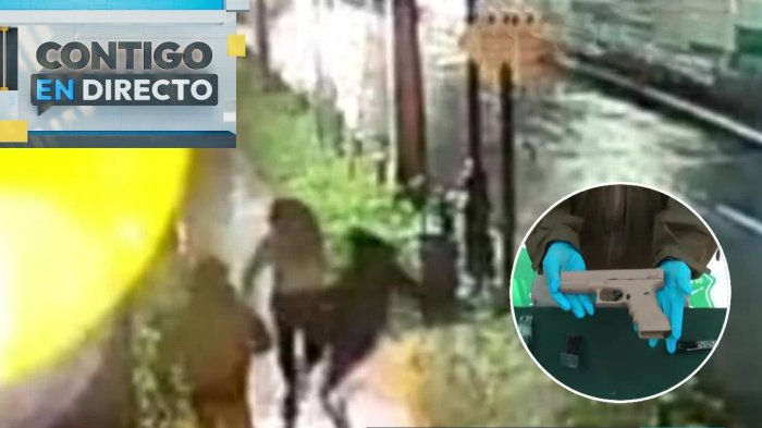 Su líder tiene 17 años: Cae banda “Reyes de la encerrona” compuesta por menores de edad en Lo Espejo