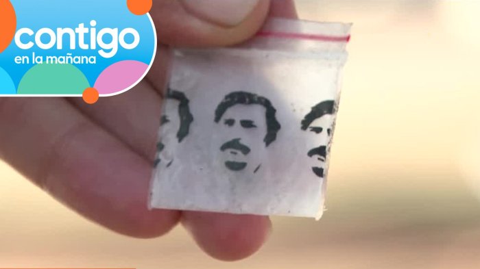 Esparcidas en una plaza: Encuentran bolsas de drogas con rostro de Pablo Escobar en Cerro Navia