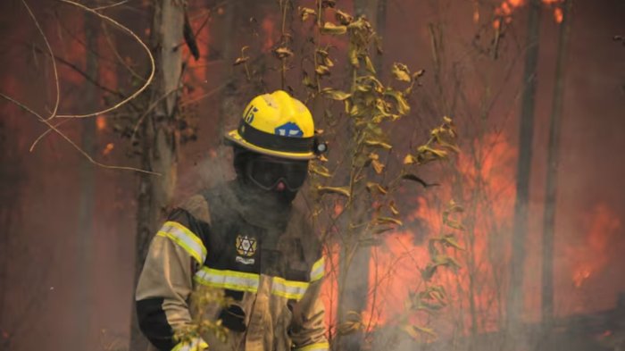 Senapred declaró Alerta Roja en Machalí y Paihuano por incendios forestales