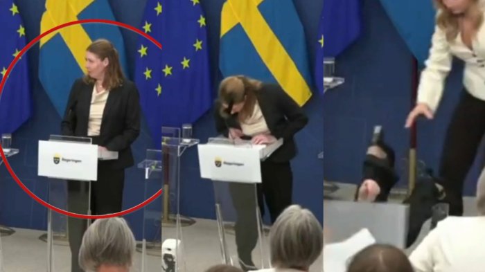 VIDEO | Captan desmayo de ministra de Salud de Suecia en su primer día de trabajo
