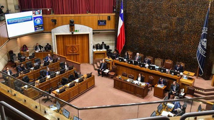 Senado aprobó el proyecto que sanciona con multa a quienes no asistan a votar