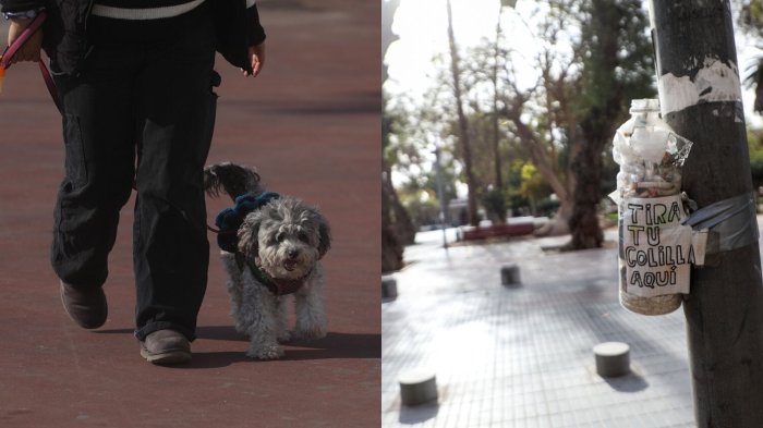 Las cuatro acciones por las que podrías ser multado con $350 mil pesos en Ñuñoa