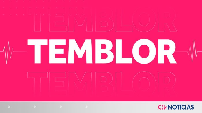 Reportan fuerte sismo en Rusia: SHOA descartó tsunami en las costas de Chile