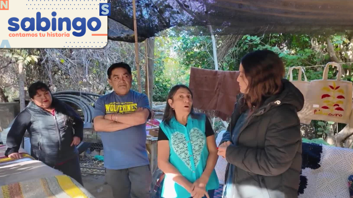 La Estrella de mi Pueblo: Carmen Gloria Bresky conoció a “la tía Sole”, artesana ilustre de Tres Cruces