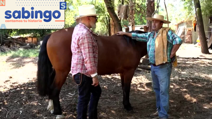 Sergi Arola participó de la Trilla a Yegua Suelta en Atacalco | Secretos de los Andes | Sabingo