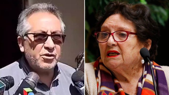 Viceministro de Bolivia respondió a dichos de diputada Cordero: Apuntó a “virilidad” de los chilenos