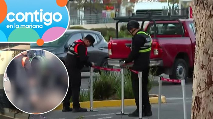 Hombre muere tras ser reducido por guardias en mall de La Florida: Video reveló nuevos antecedentes