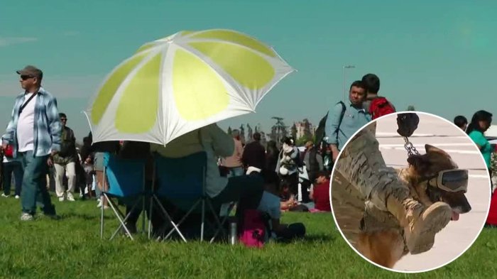 El lado B de la Parada Militar 2025: Miles de asistentes y los nuevos cachorros que se integran