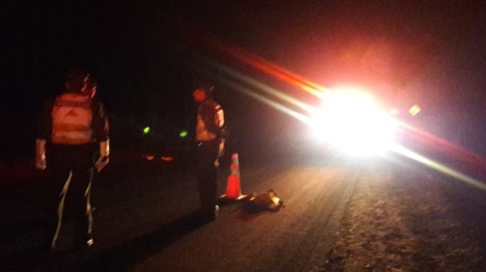 Muere niña de 11 años que fue atropellada por conductor ebrio en Pucón