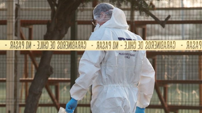 Investigan homicidio en Puente Alto: Hombre fue hallado apuñalado en una parcela