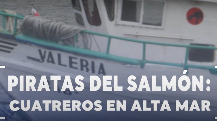 Piratas del salmón: Así cayó la banda de cuatreros que operaba al sur del país