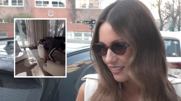 “Cuántas veces les dije...”: Pampita cargó contra la prensa argentina tras robo en su casa
