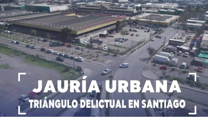 Jauría urbana: Así operan delincuentes con masivos robos en tres comunas de Santiago