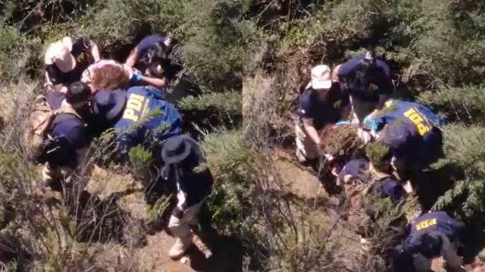 Olvidó su medicamento y se perdió en Fiestas Patrias: Encuentran a mujer que llevaba 5 días extraviada