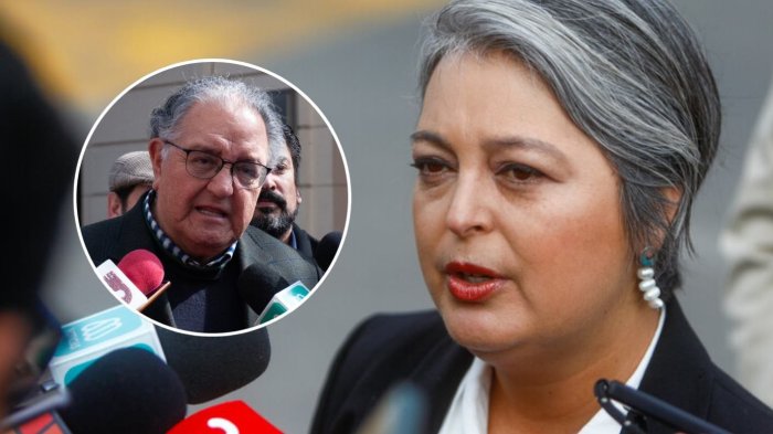 Comando de Jeannette Jara responde a críticas de “demora” en entrega de programa: Anunciaron fecha