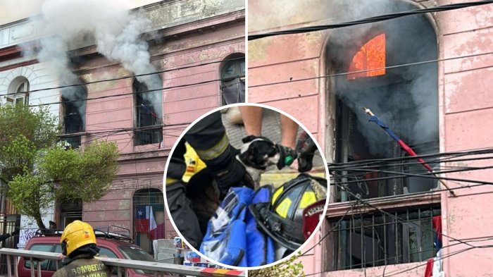 Incendio afectó a cuatro casas en Santiago Centro: Perrito fue rescatado y asistido