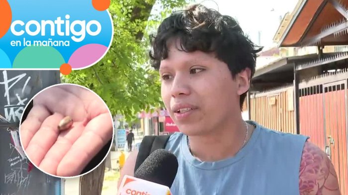 Joven mostró “bala loca” que impactó en el techo de su casa en La Pintana: “Pudo terminar en tragedia”