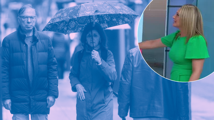 Calor extremo y después lluvia: Los dos días en que vuelven las precipitaciones a Santiago