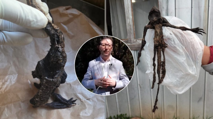 Responde el SAG: Confirman qué era el extraño cadáver encontrado en casa de Paillaco