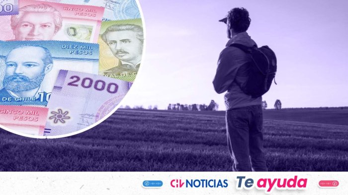 Pagan hasta $700 mil mensuales por trabajar un año en zonas rurales de Chile: Así puedes postular