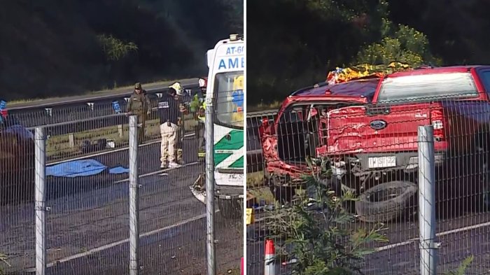 Conductor ebrio provocó fatal accidente en Villa Alemana: Hay 4 víctimas fatales