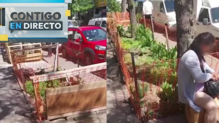 La sorpresiva medida de vecinos en barrio República para evitar comercio ambulante de Meiggs