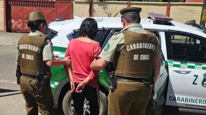 Intentó matar a su madre y se arrepintió: Prisión preventiva por parricidio frustrado para mujer en Melipeuco