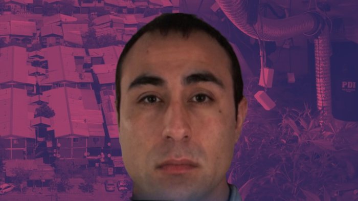 Narco usaba un block completo para cultivar marihuana que luego vendía en local de Meiggs