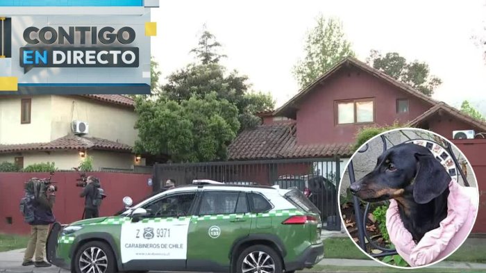 El llamado de familia que sufrió turbazo en Huechuraba para encontrar a su perrita: “Gracias a ella...”