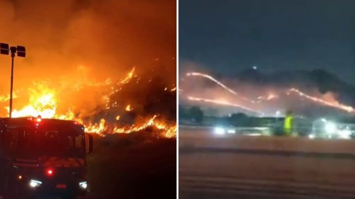 Gigantesco incendio forestal afectó a la ladera del Cerro Renca