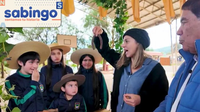 Artesanías y tradiciones en Rinconada de Molineros con Mariana Derderián | Pueblo chico, paraíso grande