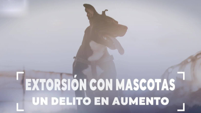 Extorsión por robo de mascotas: Un delito que va en aumento